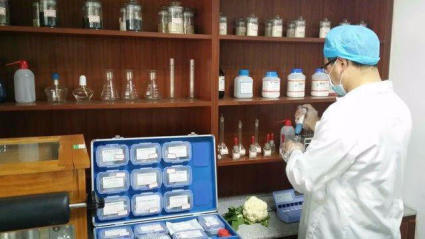 廣州農副產品批發市場 蔬菜配送服務助力酒店、學校與工廠需求